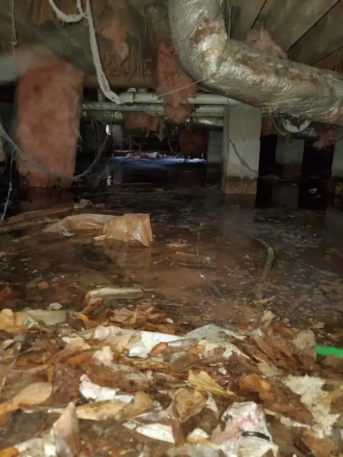Crawl space flood assessment for Leak Detection & Repair in Millis